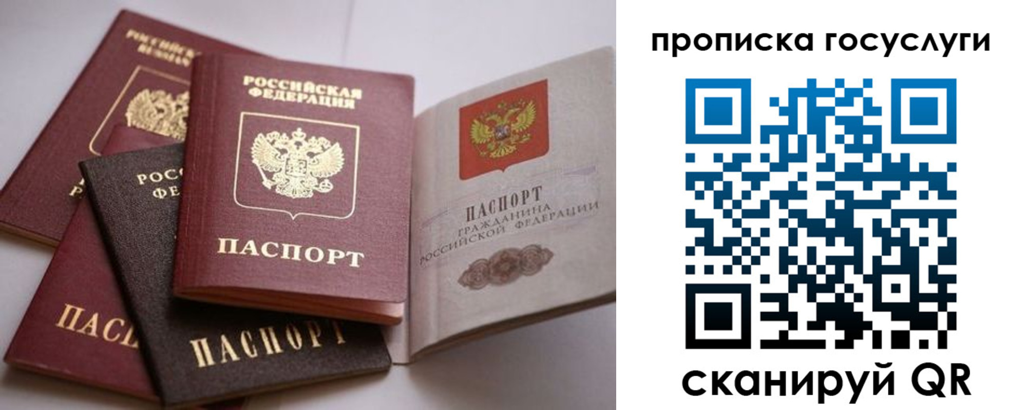 купить прописку в Бердске
