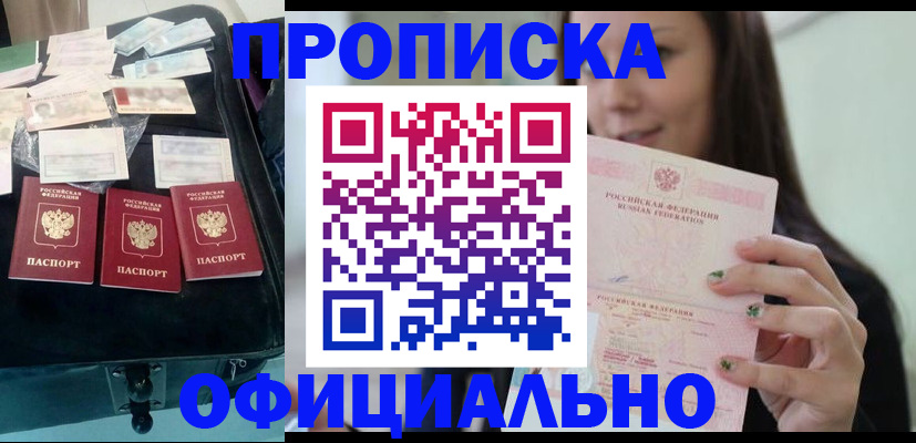 прописка законно в Бердске